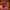 Enlighten Premium Incense Sticks (Agarbatti) - TwoHands