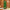 Transform Premium Incense Sticks (Agarbatti)