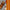 Bliss Premium Incense Sticks (Agarbatti)