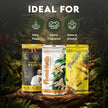 Daily Ritual Agarbatti Combo Pack of 3 | Mysore Sandal, Hawaiian Pineapple & French Vanilla Incense Sticks