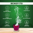 Pavithram Premium Traditional Aroma Flavour Unfilled Sambrani Cups/Empty Cups