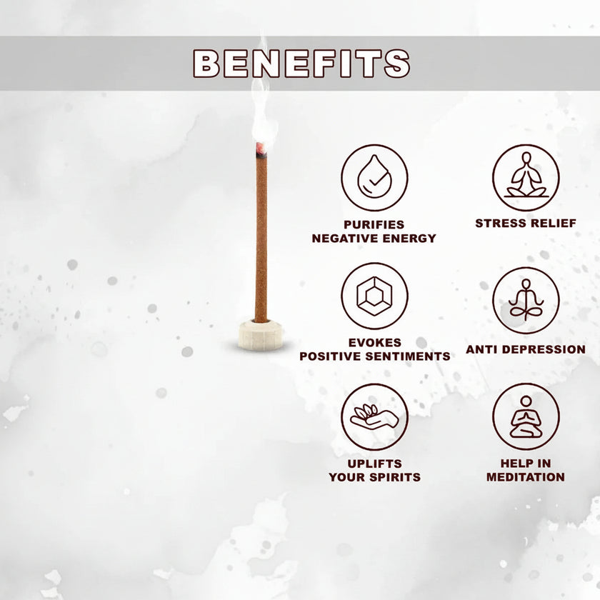 Premium Bambooless Assorted Dhoop Sticks 12 in 1 pack( 120 Sticks ) - TwoHands