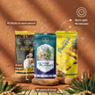 Daily Puja Agarbatti Combo Pack of 3 | Mysore Sandal, Hawaiian Pineapple & Kesar Kasturi Incense Sticks