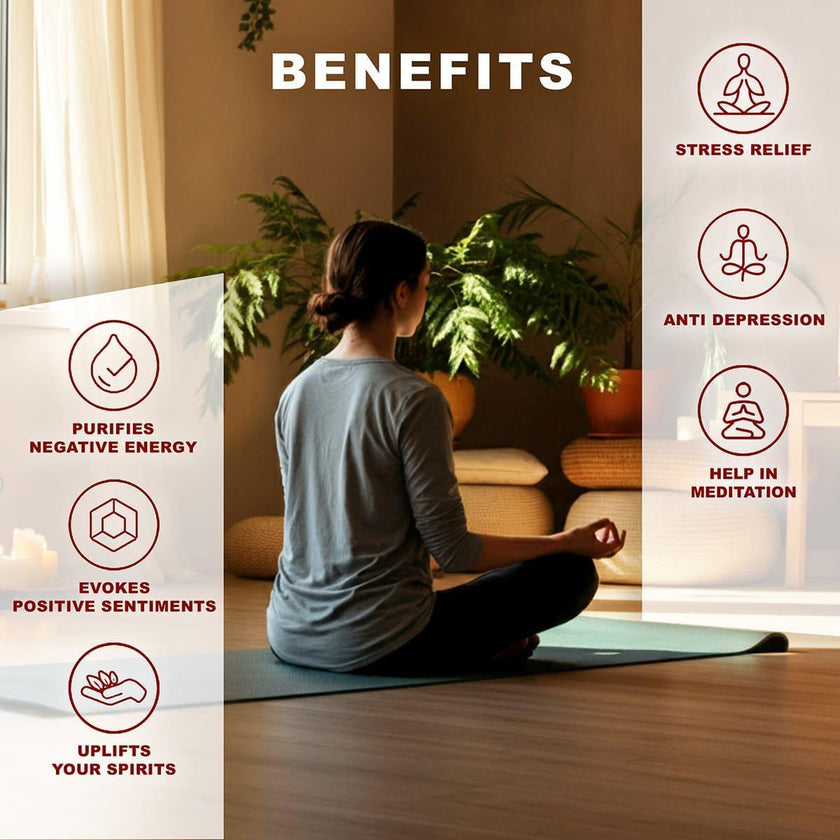 Truliv Eco Premium Aromatic Fragrance Incense Sticks / Agarbatti - TwoHands