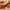 Kesar Chandan Premium Dhoop Sticks - TwoHands