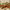 Patchouli Premium Dhoop Sticks - TwoHands